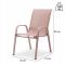 Комплект 2 садових крісел Ideal Garden AY004-2 Рожевий